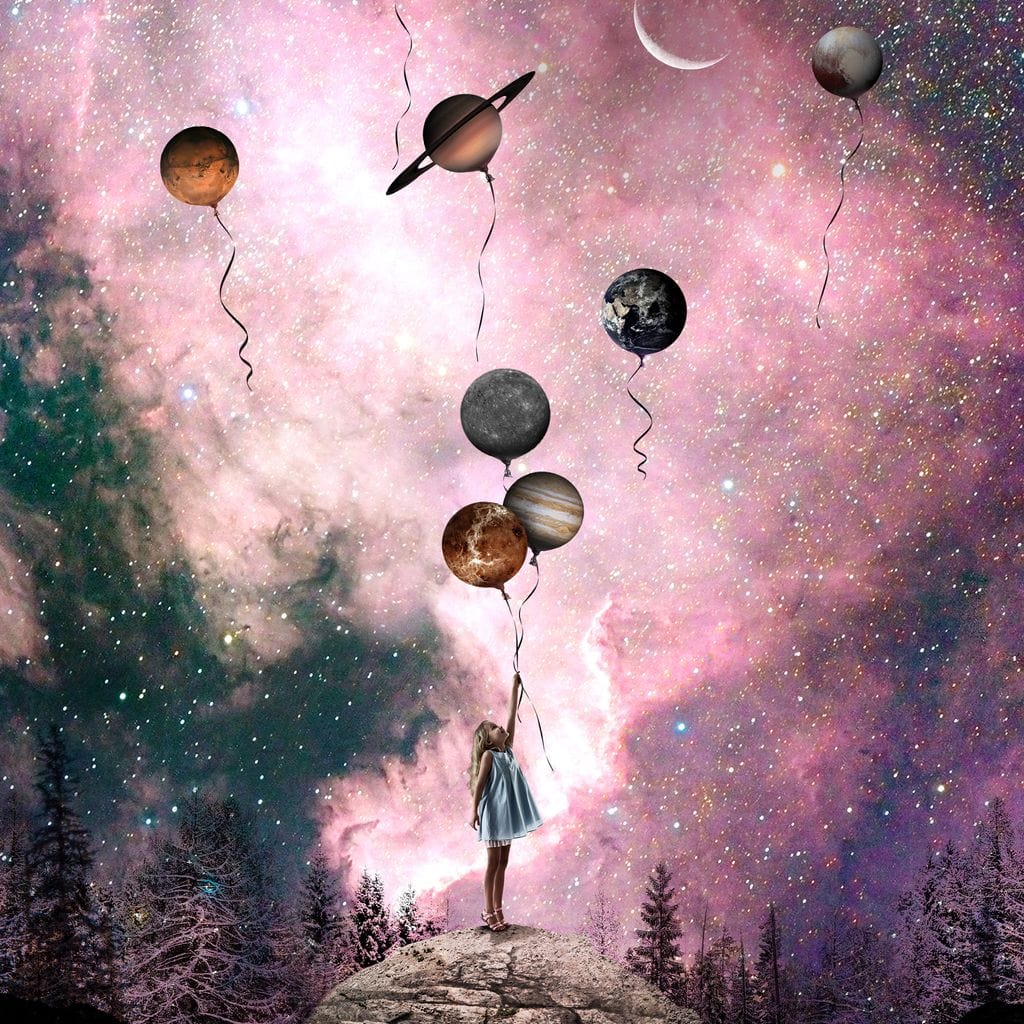 Rose Space Canvas Wall Art
