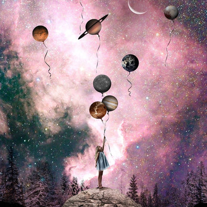 Rose Space Canvas Wall Art