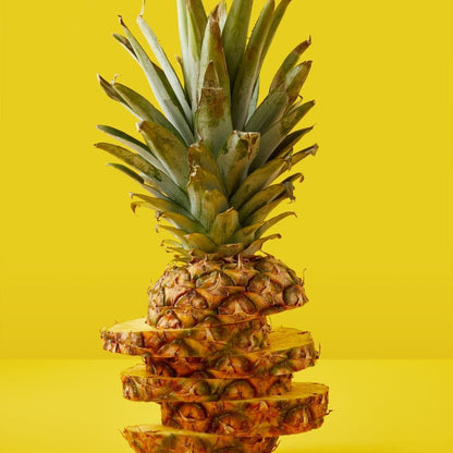 Sliced Pineapple Canvas Wall Art