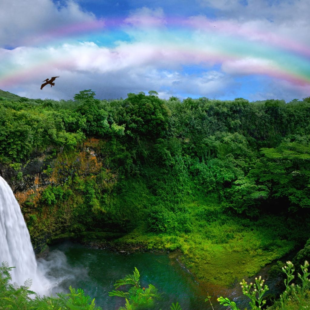 Hawaiian Jungle Canvas Wall Art
