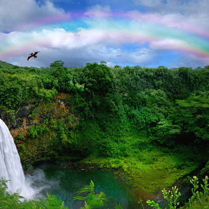 Hawaiian Jungle Canvas Wall Art