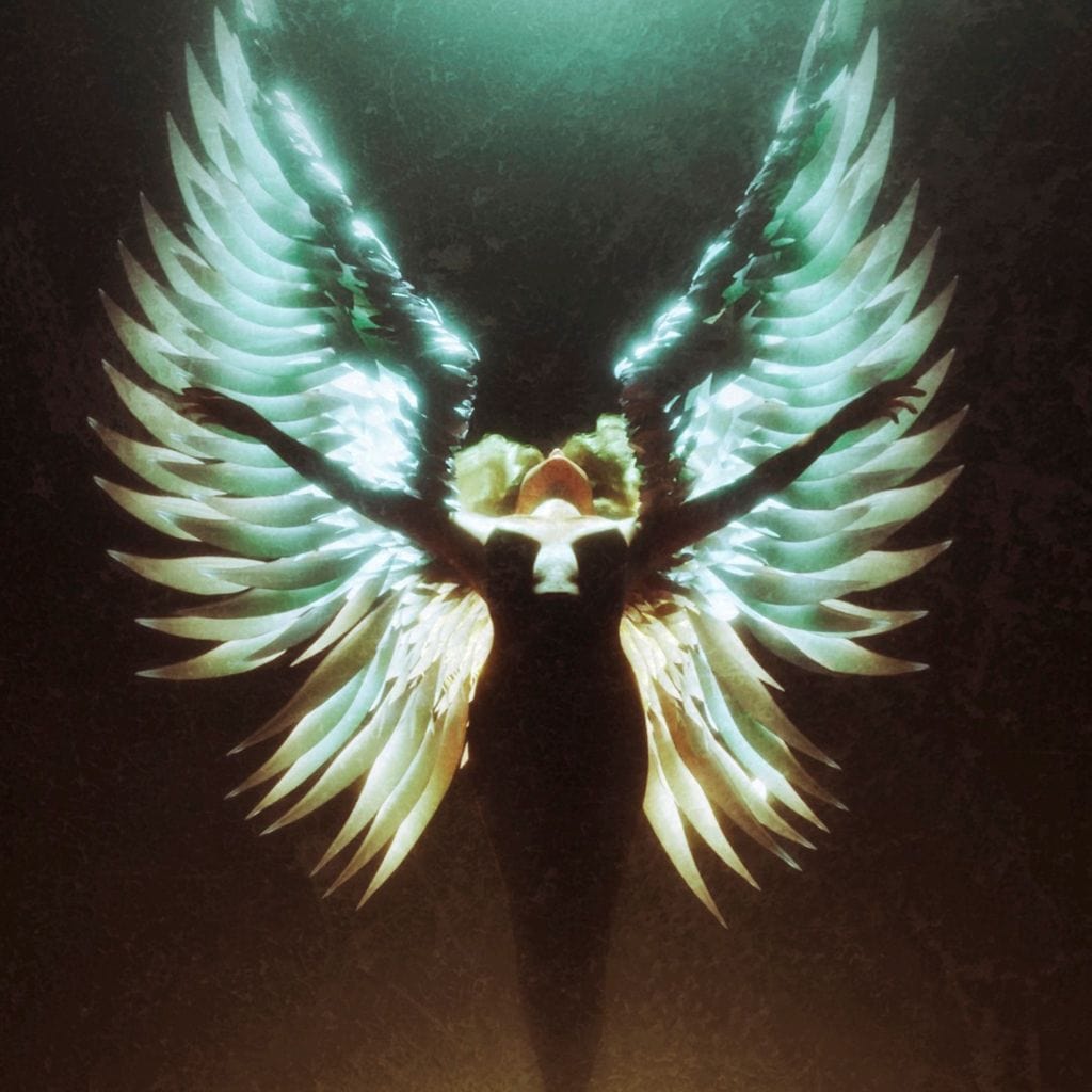Angel Wings Ascending - G'n Art Canvas Wall Art