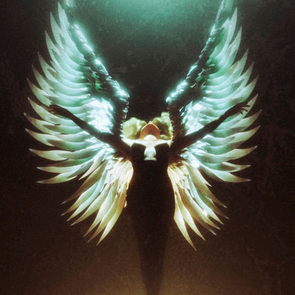 Angel Wings Ascending - G'n Art Canvas Wall Art