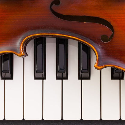 Violin & Piano Canvas Wall Art