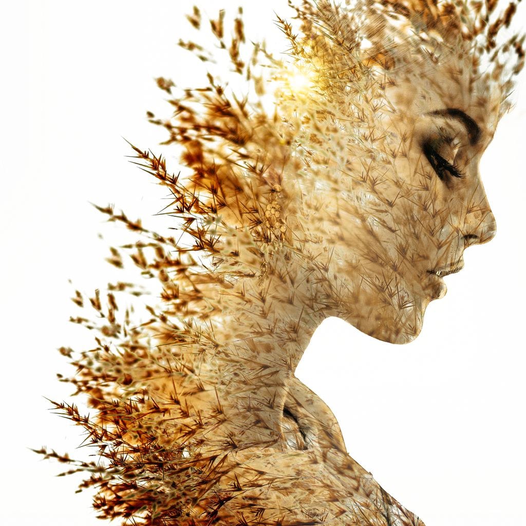 Harvest Queen Canvas Wall Art