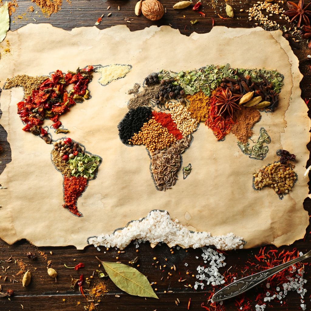 Spices Map of the World Canvas Wall Art