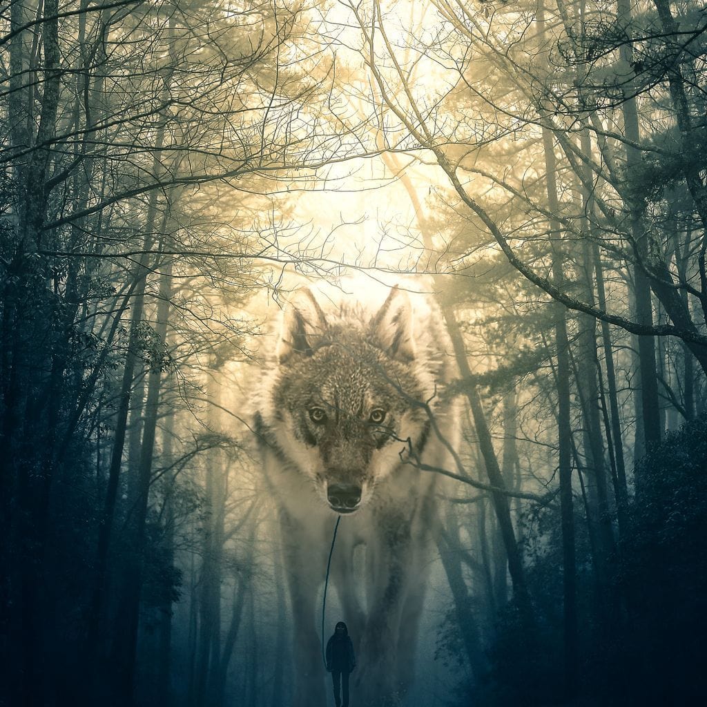 Wolf Walking - Alex Graphex Canvas Wall Art