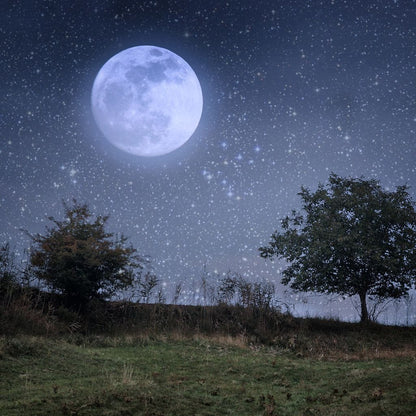 Beautiful Moonlight Canvas Wall Art