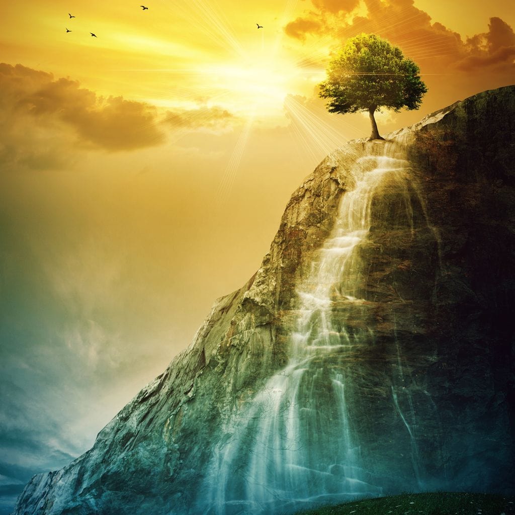 Waterfall Tree Canvas Wall Art