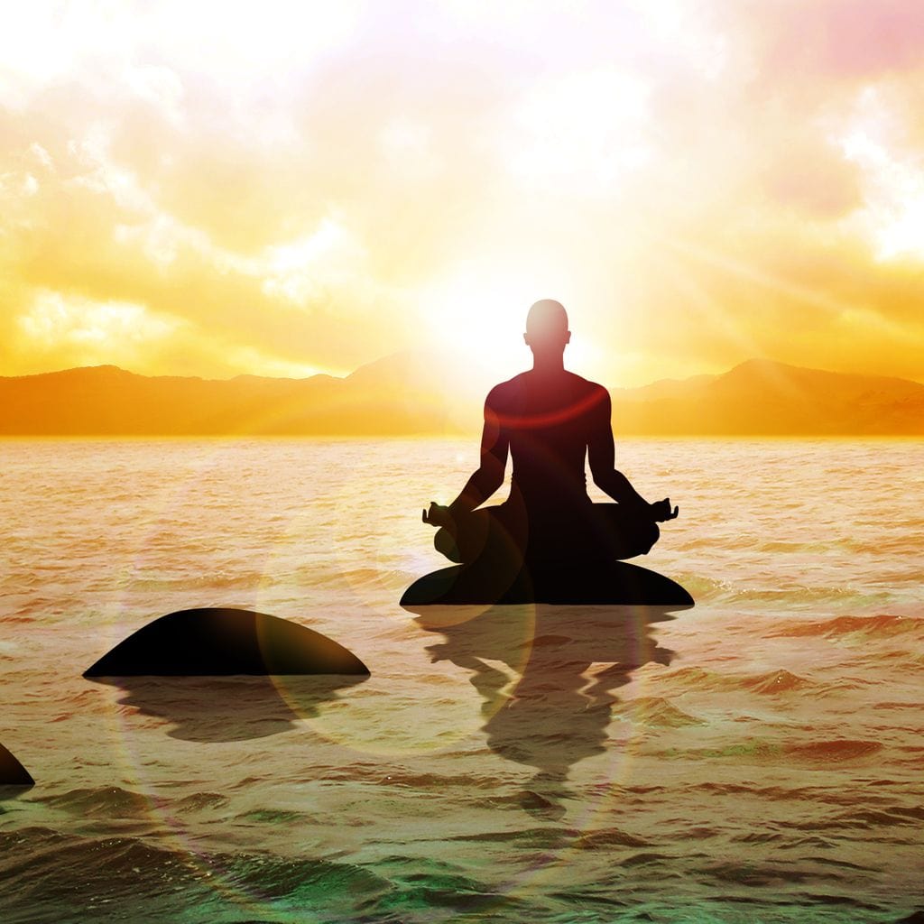 Meditation Master Canvas Wall Art