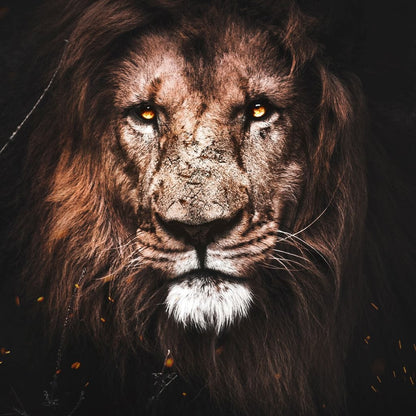 Lion 2 Canvas Wall Art