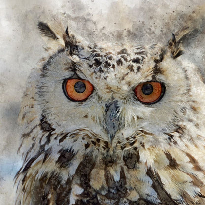 Eurasian Owl Canvas Wall Art
