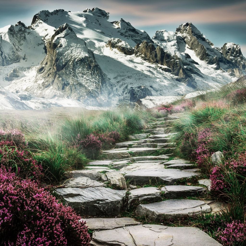 Cobble Road Canvas Wall Art