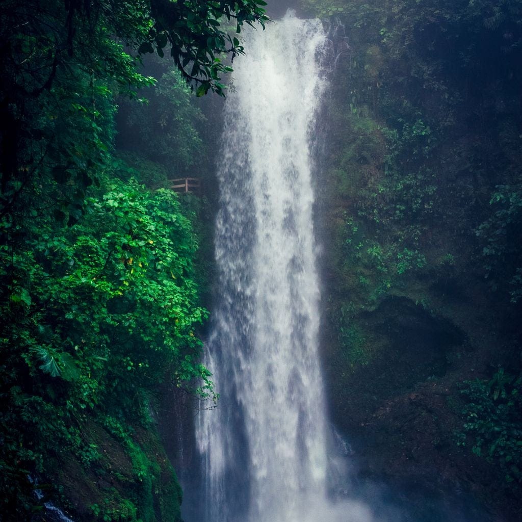 Waterfall in Costa Rica Canvas Wall Art