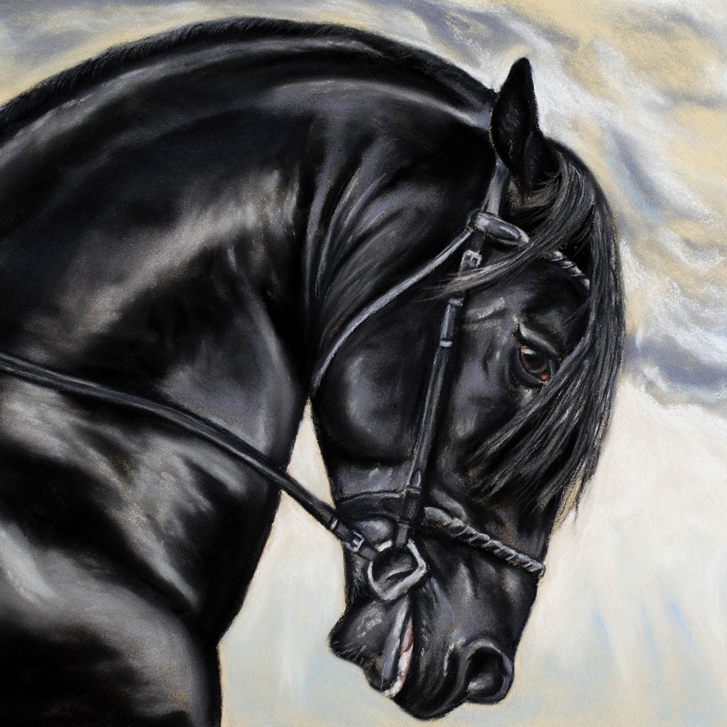 Black Friesian Horse Canvas Wall Art
