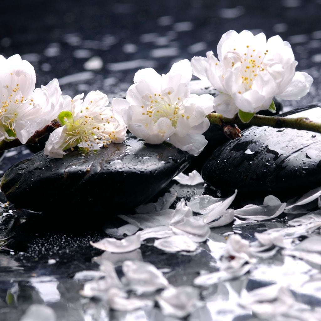 Spa Flowers Canvas Wall Art