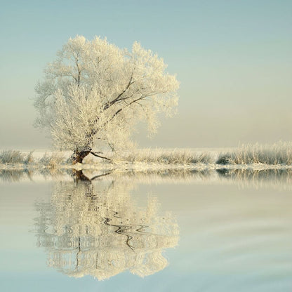 Winter Tree by the Lake Canvas Wall Art