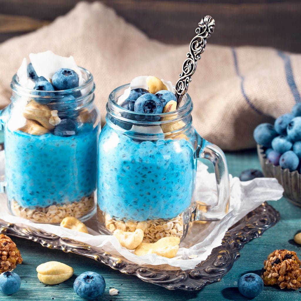 Chia Seeds & Blueberries Pudding Canvas Wall Art
