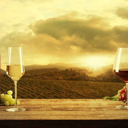 Vineyard View Canvas Wall Art
