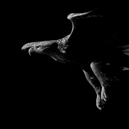 Black and White Eagle Canvas Wall Art
