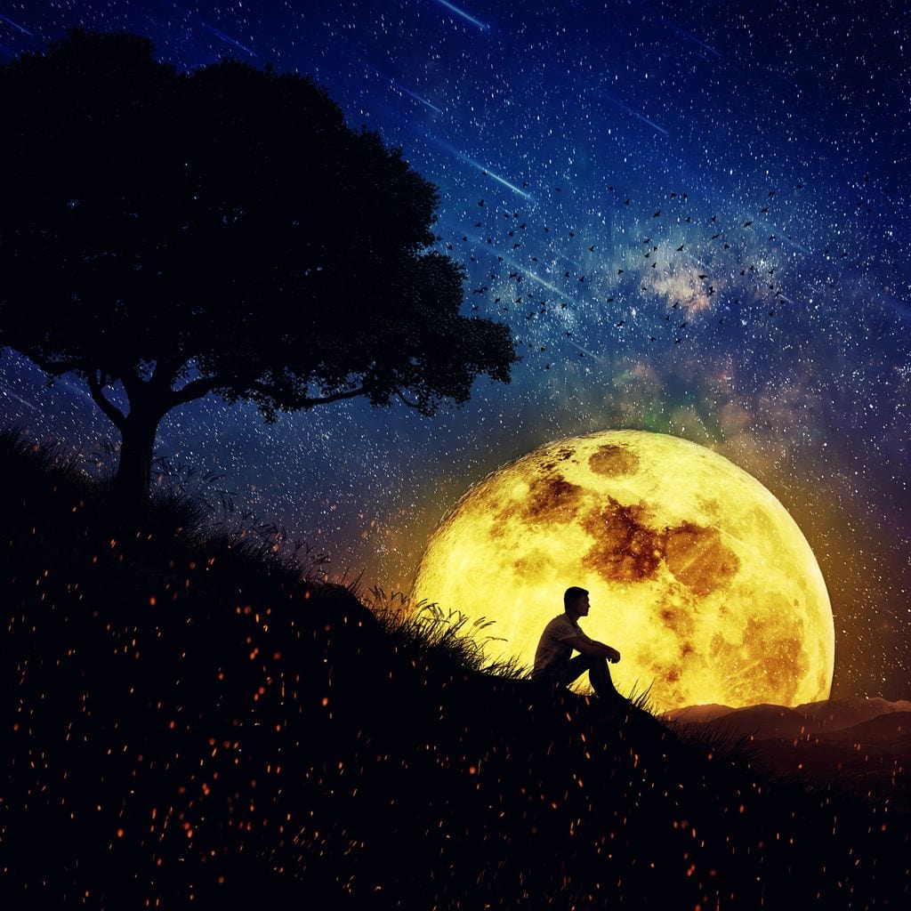 Otherworldly Night Scene Canvas Wall Art