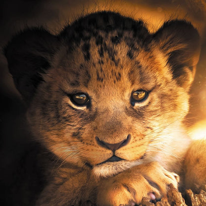 Lion Cub Canvas Wall Art