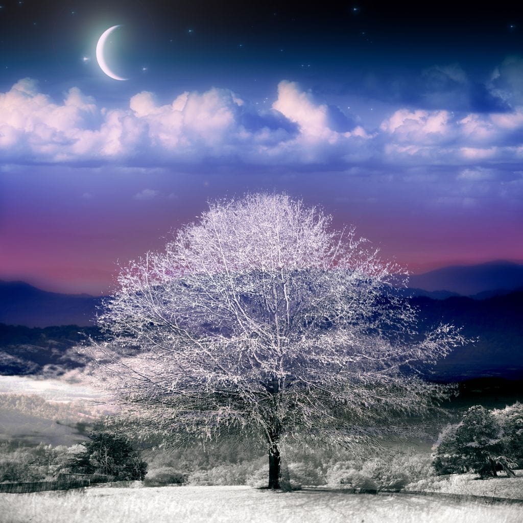 Fantasy Winter Scene Canvas Wall Art