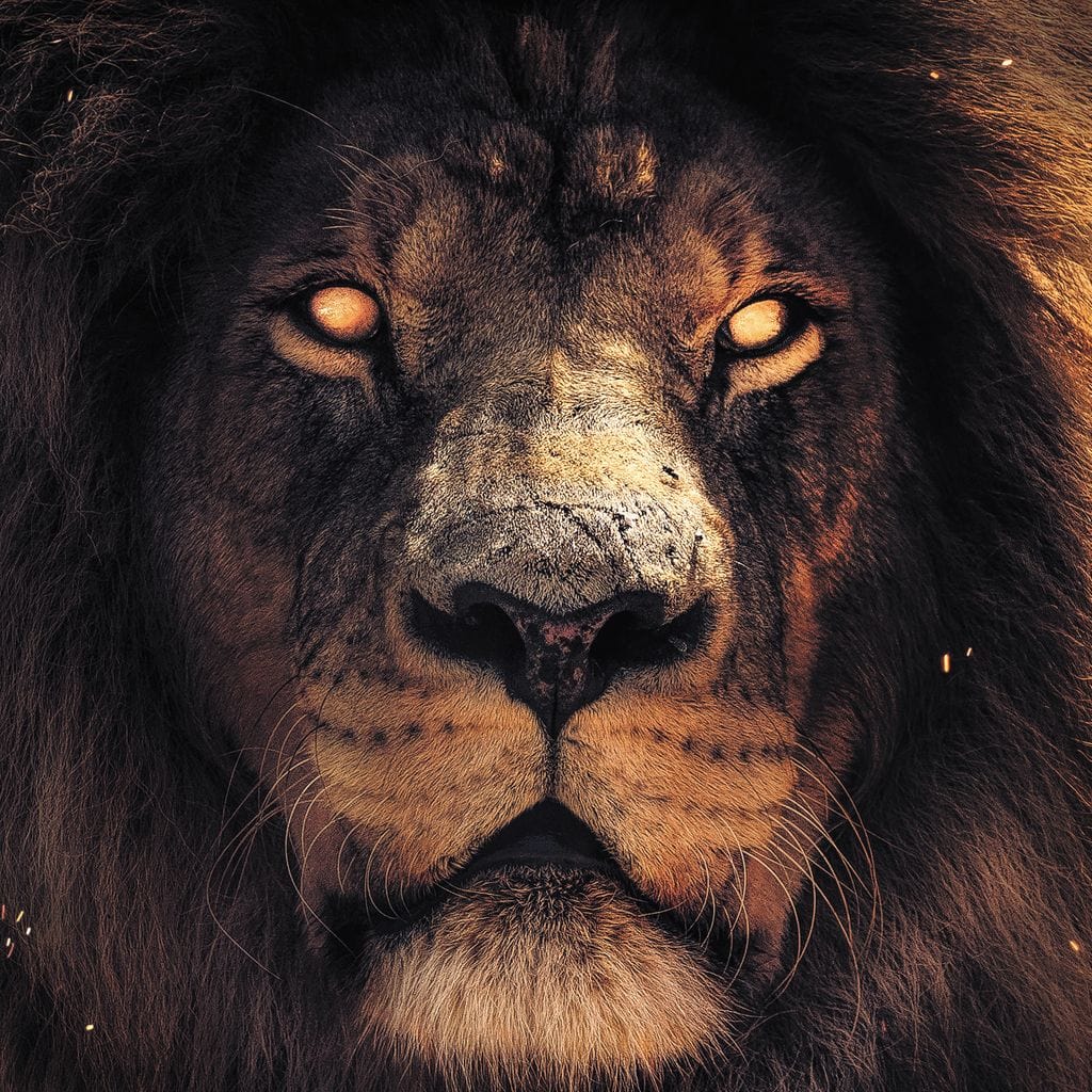 Scary Lion Canvas Wall Art
