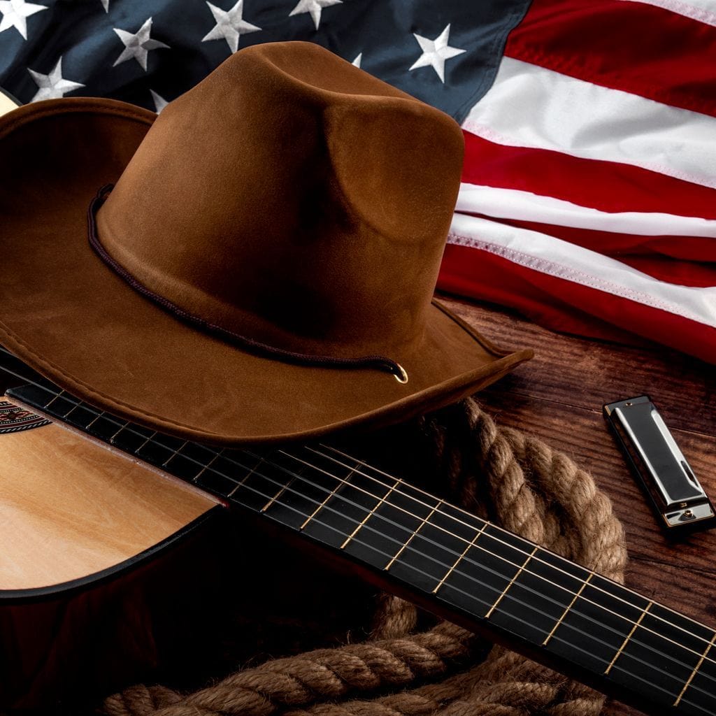 Country Music Canvas Wall Art
