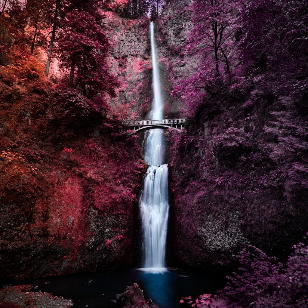 Colorful Falls Canvas Wall Art