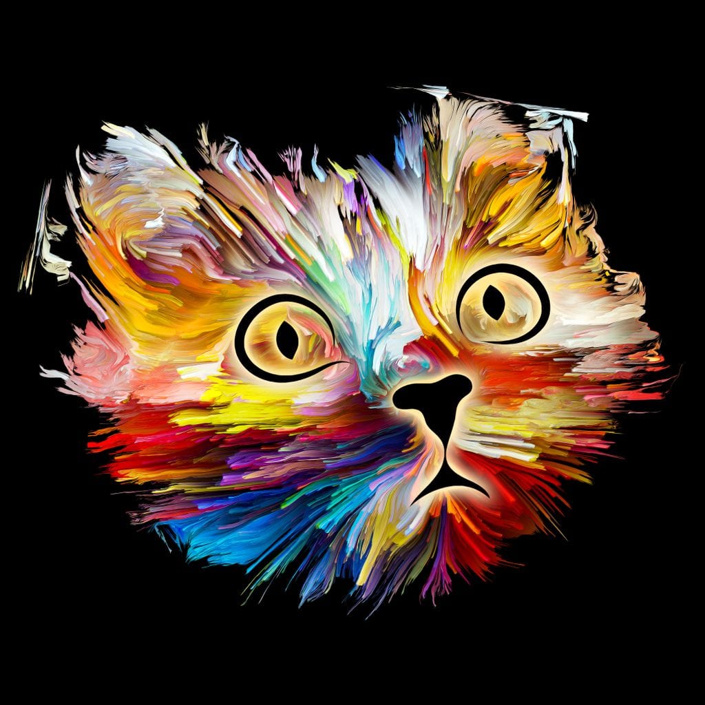 Colorful Cat Canvas Wall Art