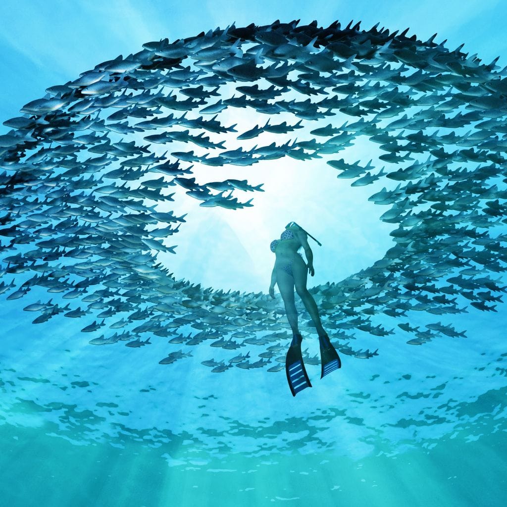 Eye of the Ocean Canvas Wall Art