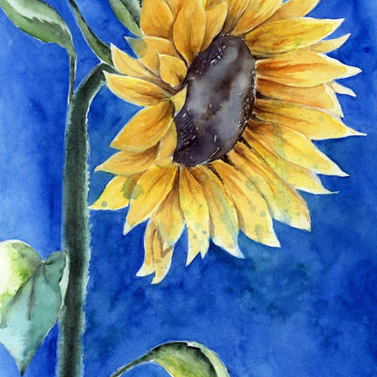 Watercolor Sunflower Canvas Wall Art