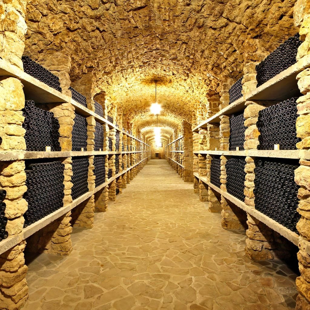 Wall of Wine Bottles Canvas Wall Art