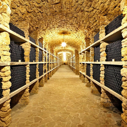 Wall of Wine Bottles Canvas Wall Art