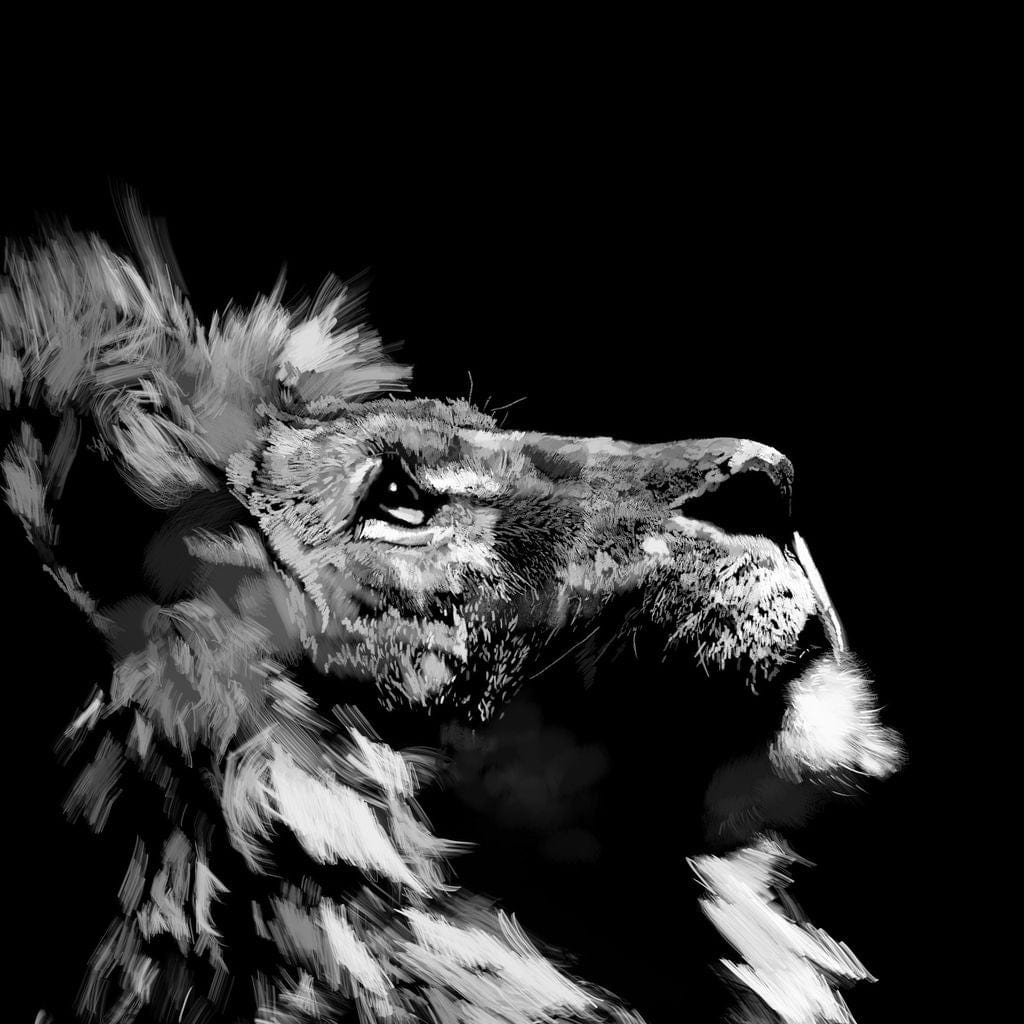 Lion Stare Canvas Wall Art