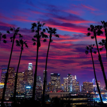 Downtown LA Canvas Wall Art