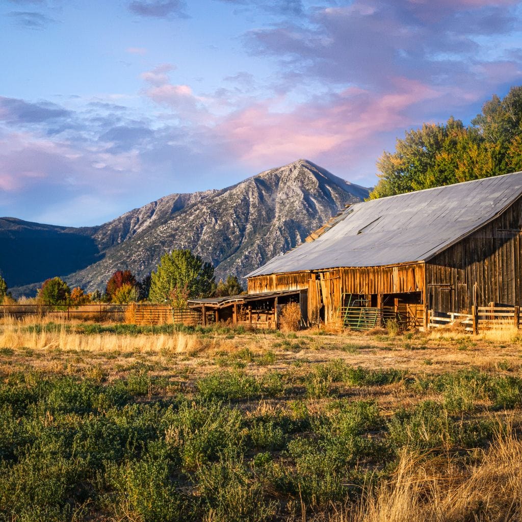 Sunrise at the Ranch Canvas Wall Art