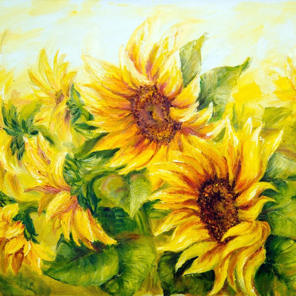 Beautiful Sunflowers Canvas Wall Art