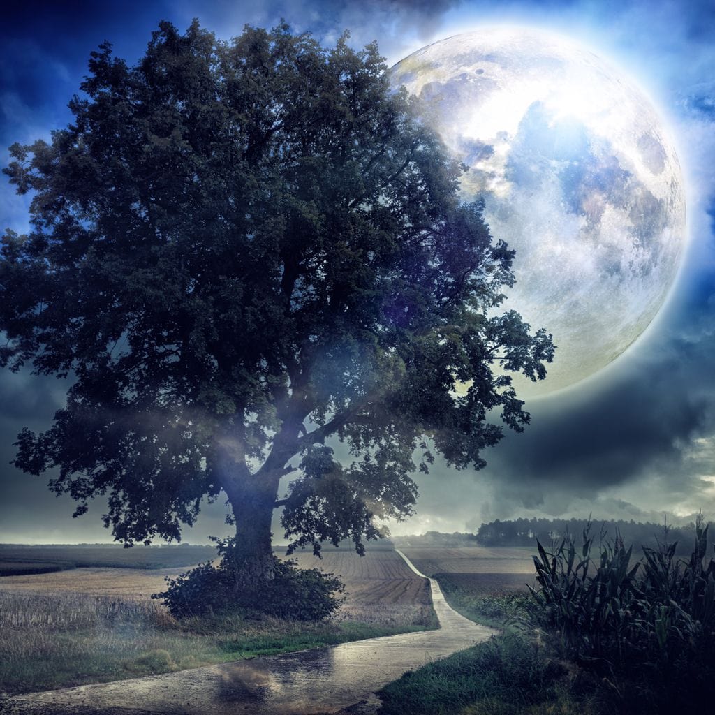 Giant Moon Summer Night Canvas Wall Art
