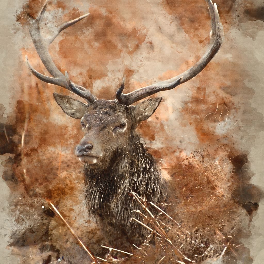Red Deer Stag on Brown Background Canvas Wall Art