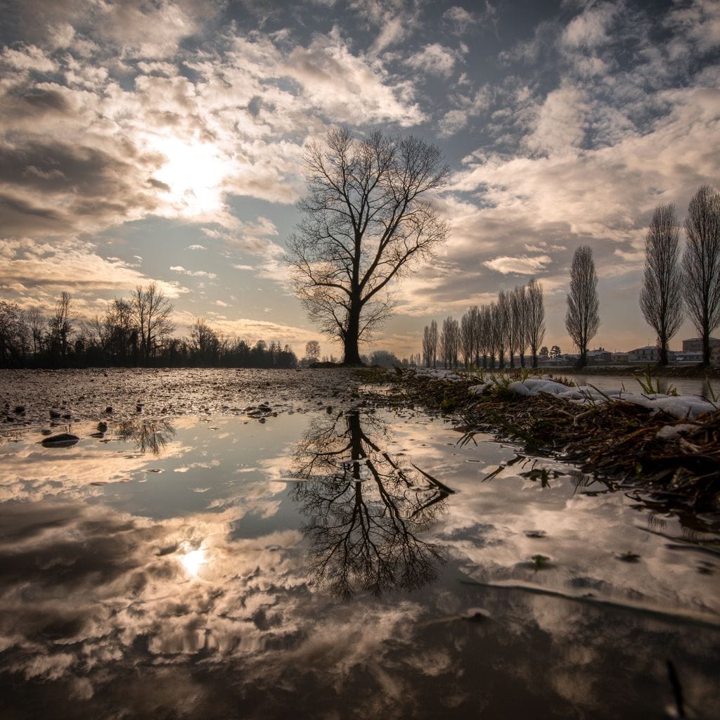 Reflections Canvas Wall Art