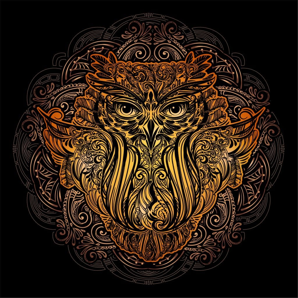 Golden Owl Canvas Wall Art