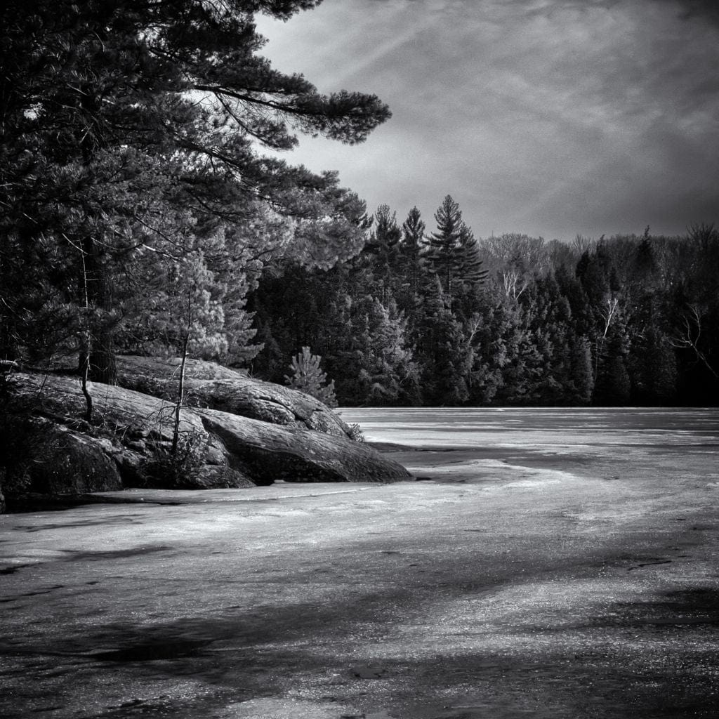 Gullwing Lake Canvas Wall Art