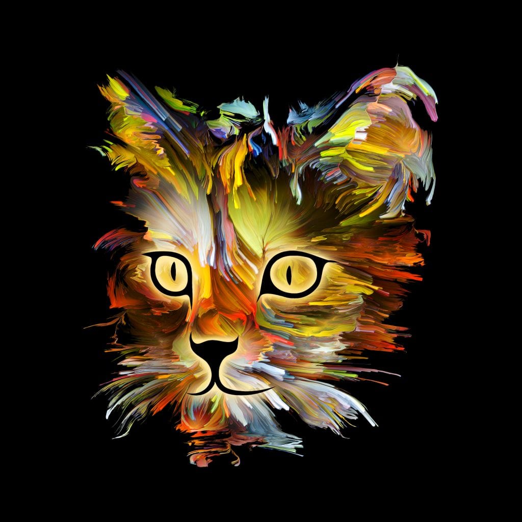 Colorful Cat on Black Background Canvas Wall Art