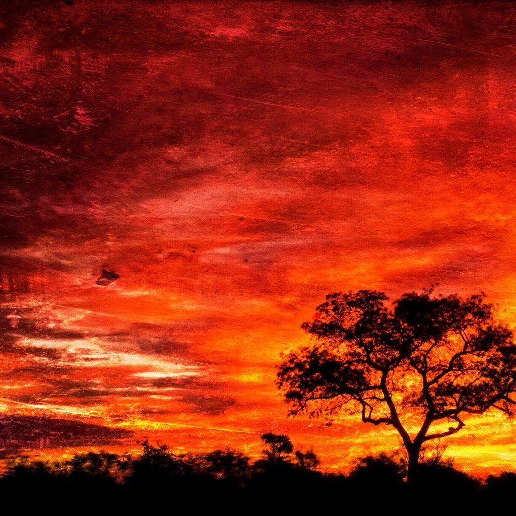 Breathtaking Sunset Canvas Wall Art