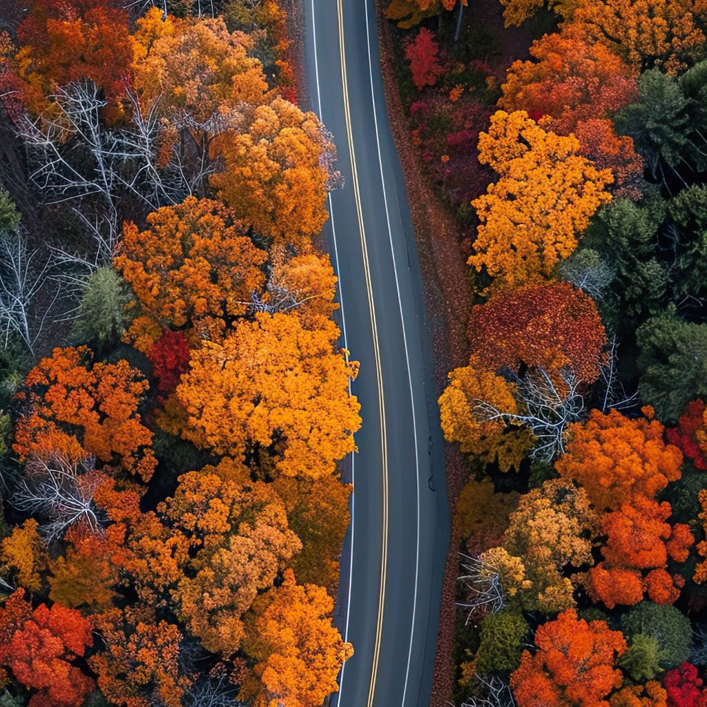 Autumn Road Trip Canvas Wall Art