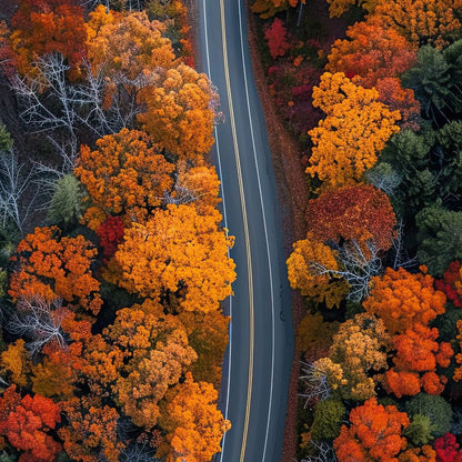 Autumn Road Trip Canvas Wall Art