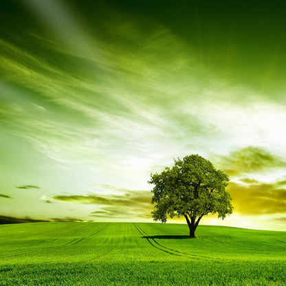 Green Prairie Canvas Wall Art