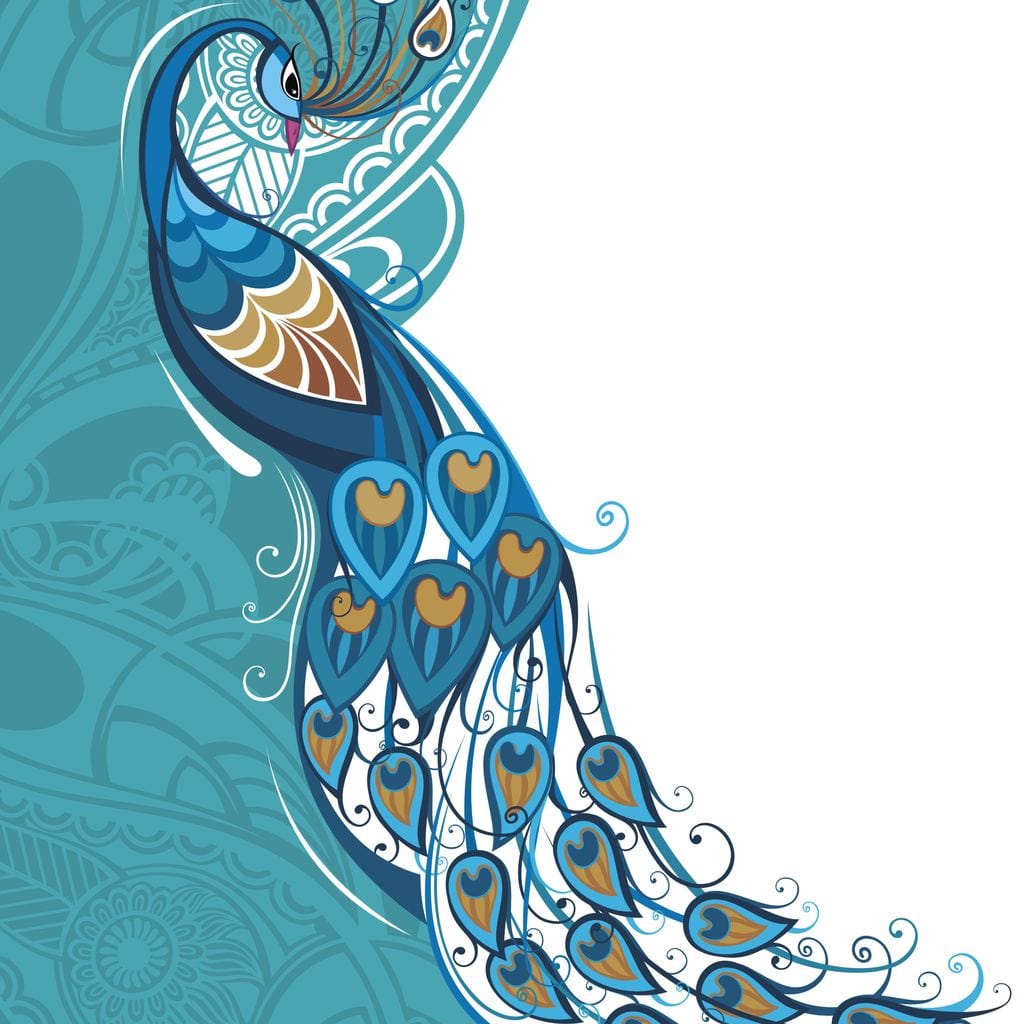 Peacock on Turquoise & White Background Canvas Wall Art